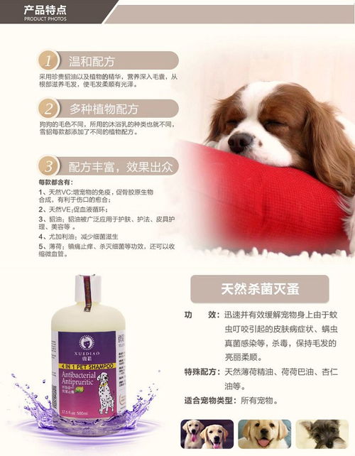 雪貂狗香波補鈣套裝 專業寵物護理，守護愛犬健康